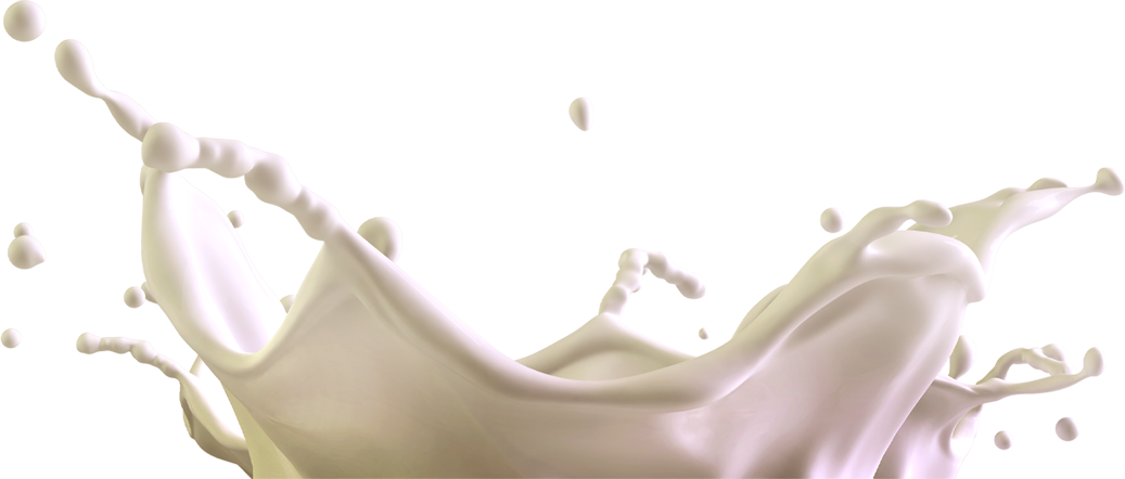main_05