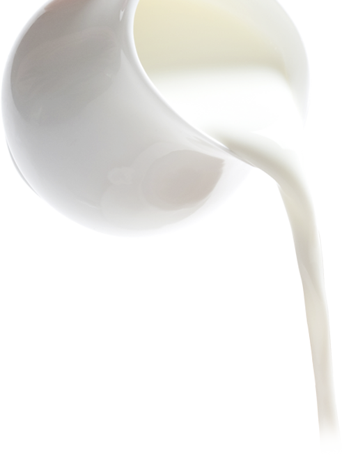 main_06